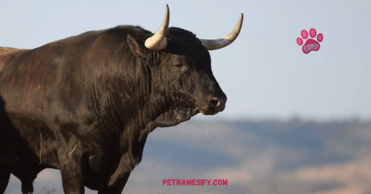 300+ Cool And Badass Bull Names With Name Generator