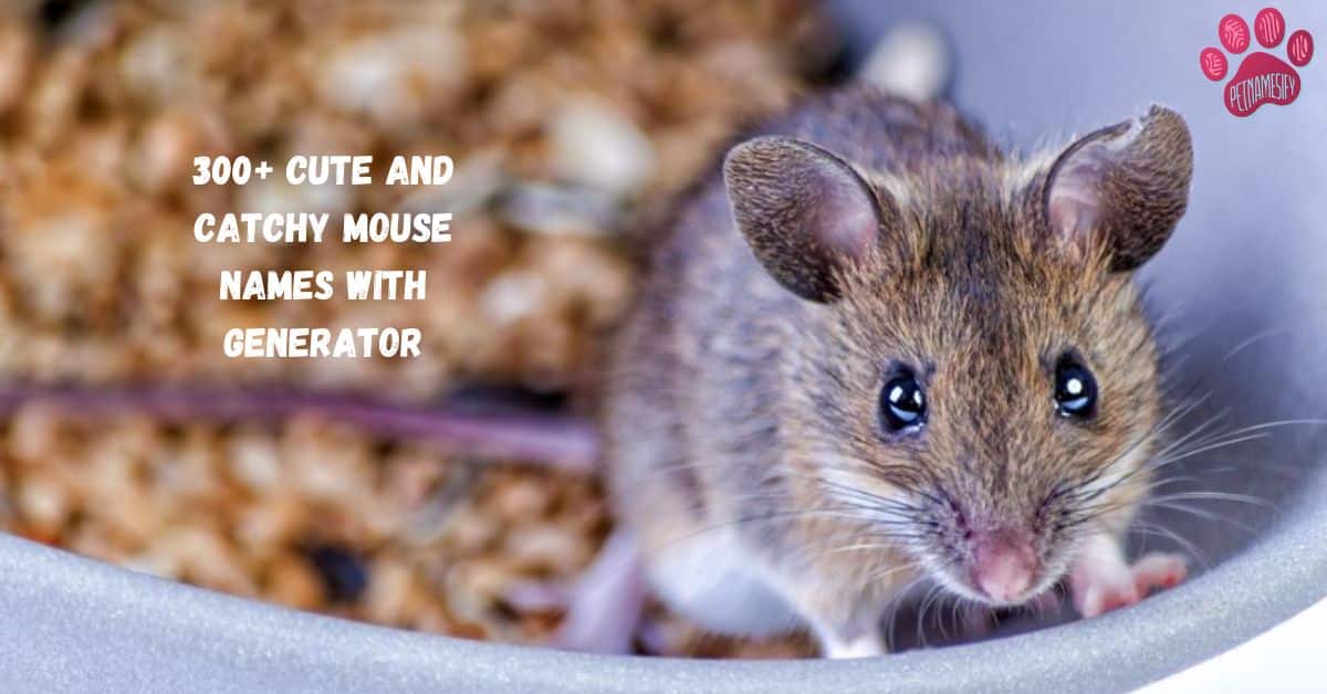 300+ Cute And Catchy Mouse Names With Generator